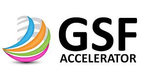 GSF Accelerator